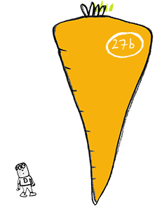 Carrot 27b