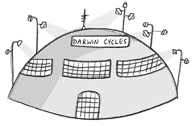 Darwin Cycles