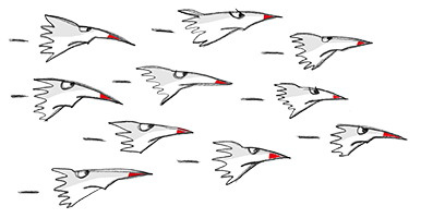Invizizz Migration