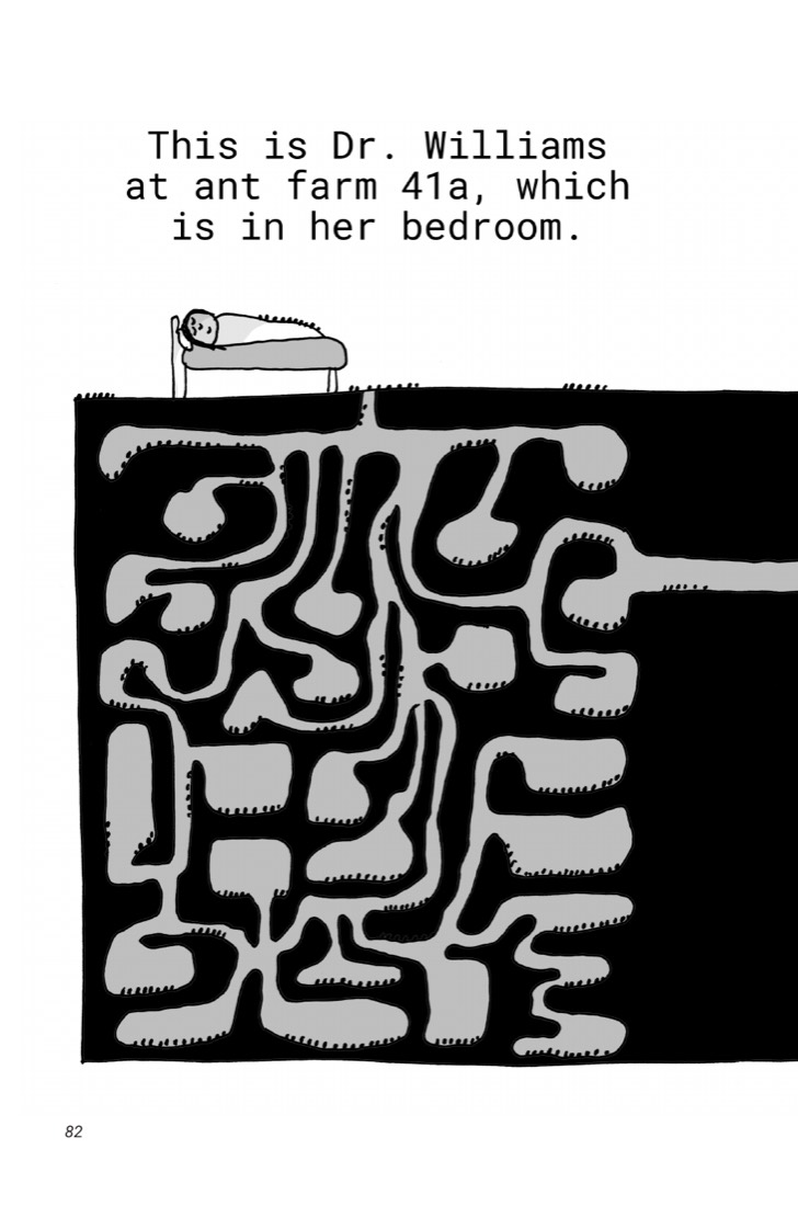 b02:c04:p082