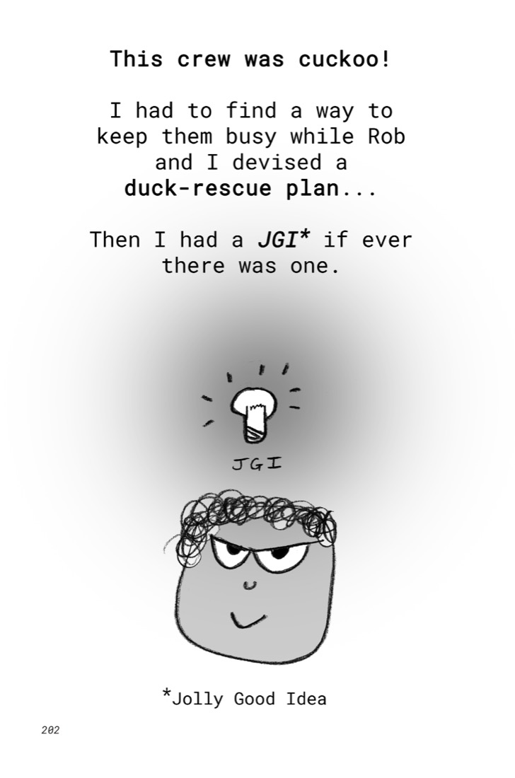b06:c08:p202